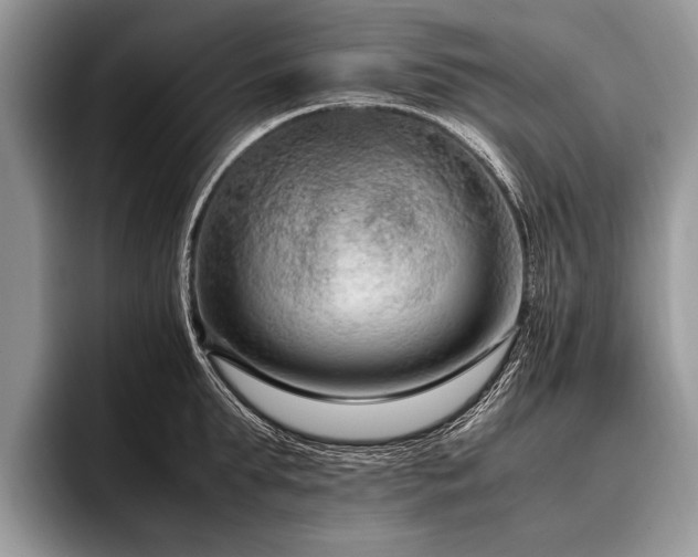 X0000096980903200802081405