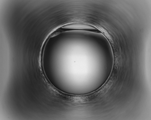 X0000096980904200802081405