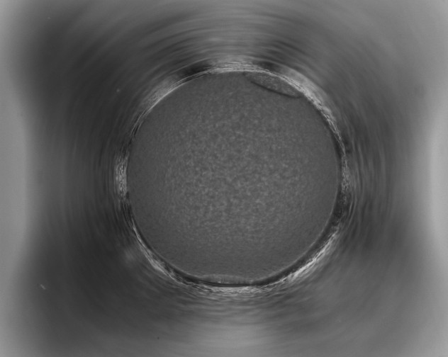 X0000096980905200802081405