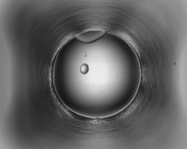 X0000096980906200802081405