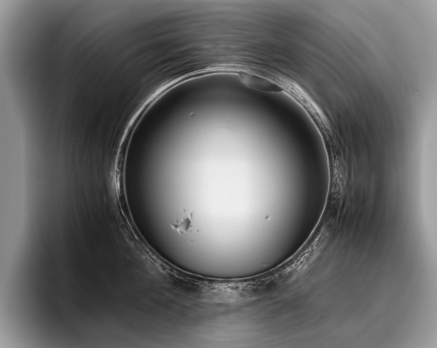 X0000096980908200802081405