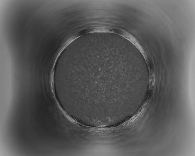 X0000096980909200802081405