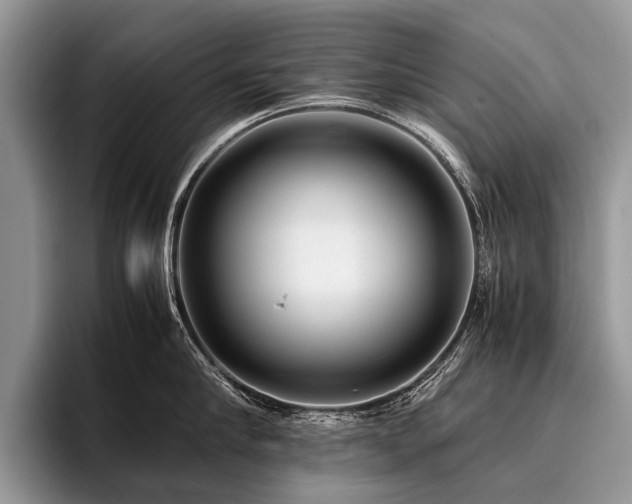 X0000096980910200802081405