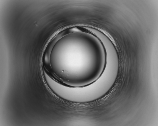 X0000096980911200802081405