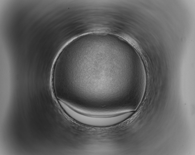 X0000096980912200802081405