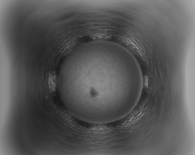 X0000096980915200802081404