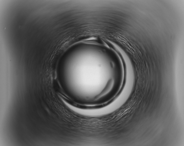 X0000096980916200802081404