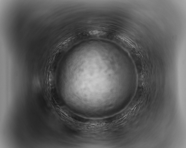 X0000096980917200802081404