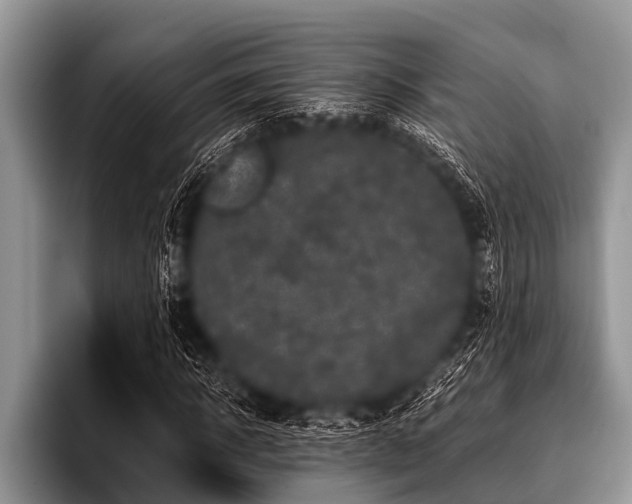 X0000096980918200802081404