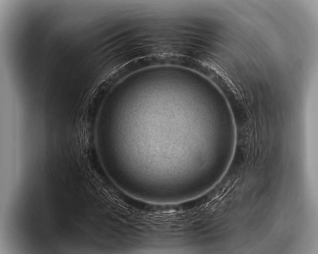 X0000096980919200802081404