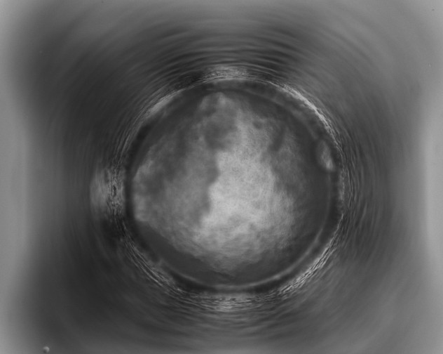 X0000096980921200802081404