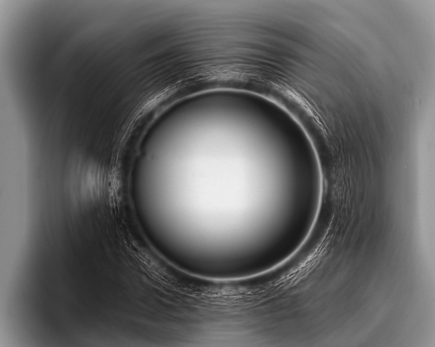 X0000096980922200802081404