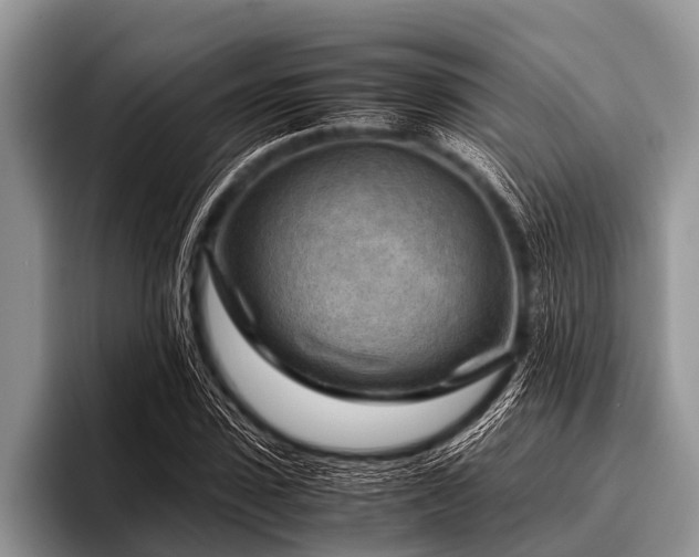 X0000096980923200802081404