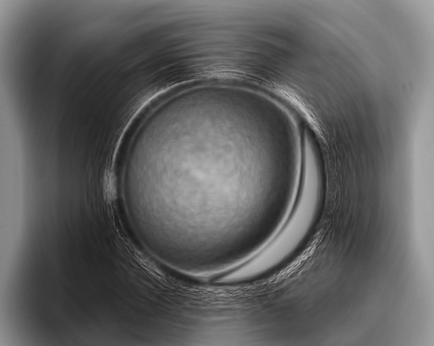 X0000096980924200802081404