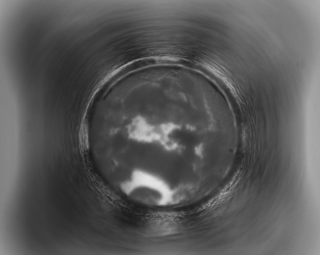 X0000096980925200802081404