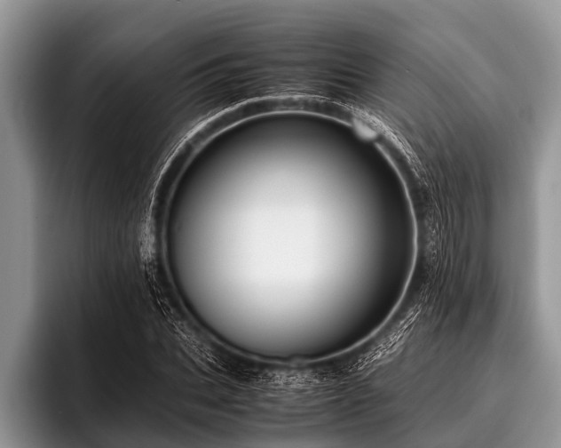 X0000096980927200802081404