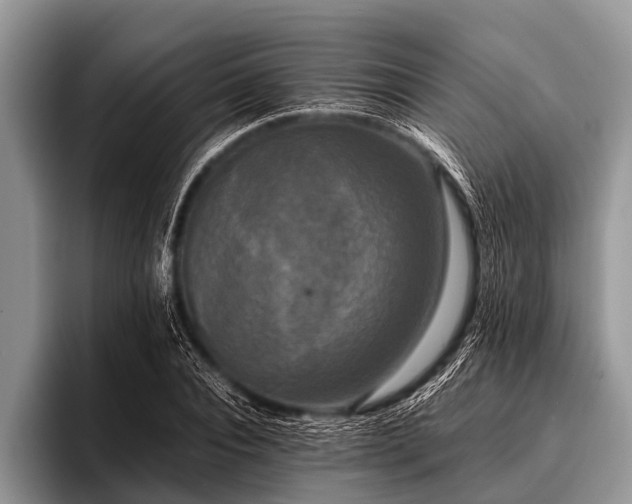 X0000096980928200802081404