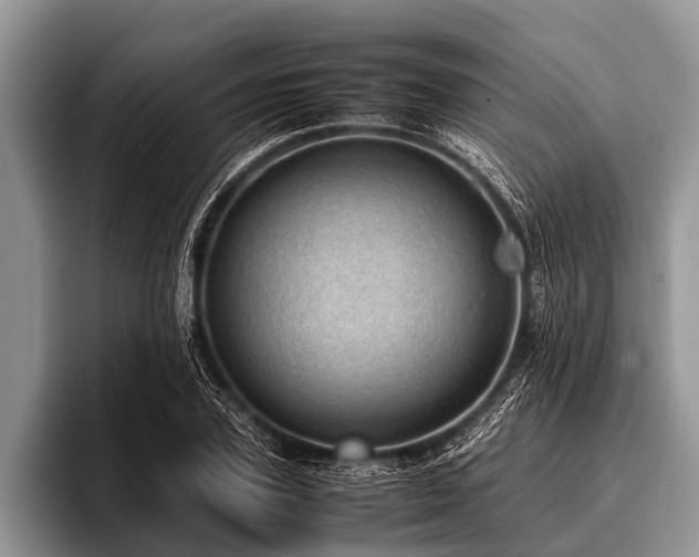 X0000096980931200802081404