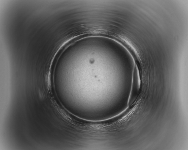 X0000096980932200802081404