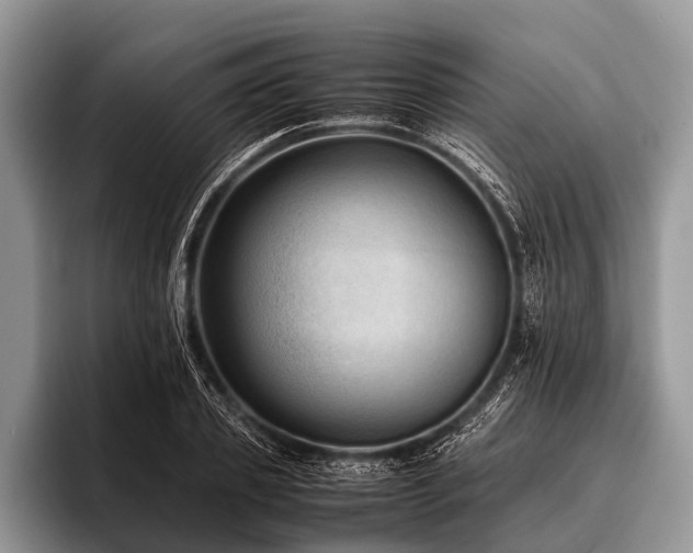 X0000096980933200802081404