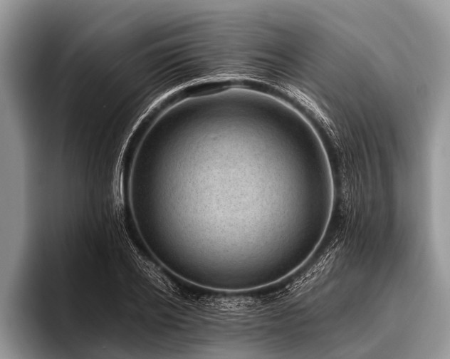 X0000096980934200802081404