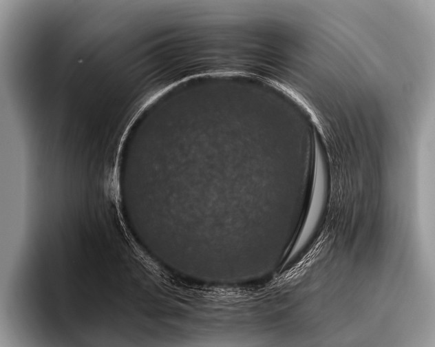 X0000096980935200802081404