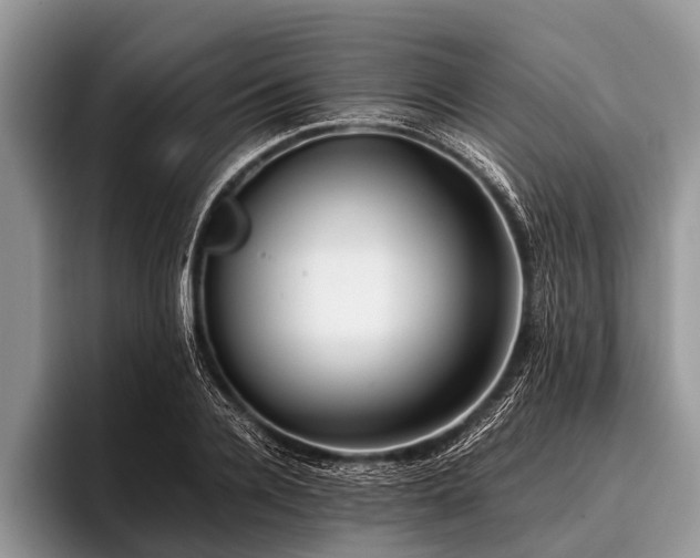 X0000096980936200802081404