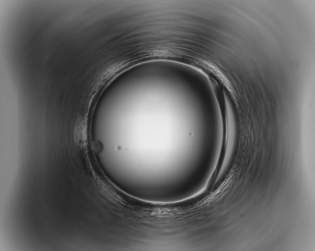 X0000096980938200802081404