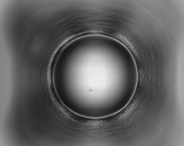 X0000096980939200802081404