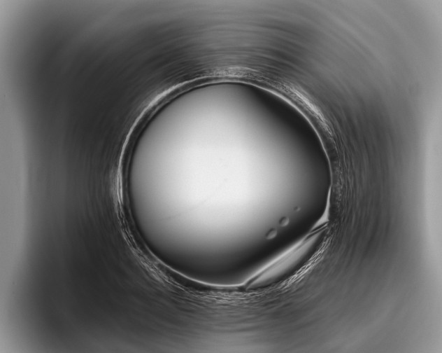 X0000096980940200802081404