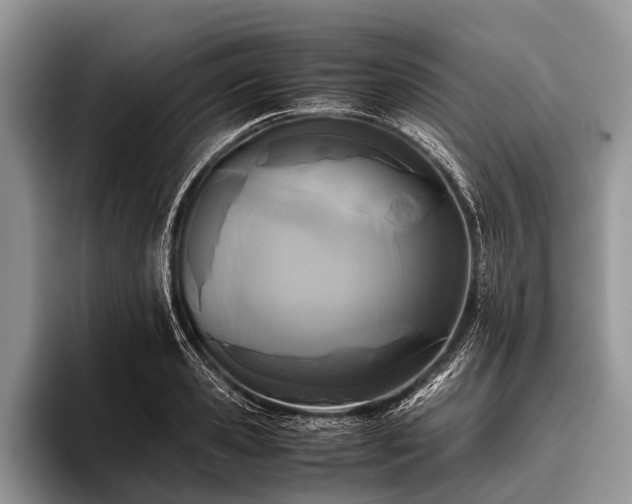 X0000096980941200802081404