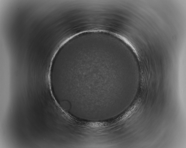 X0000096980943200802081404