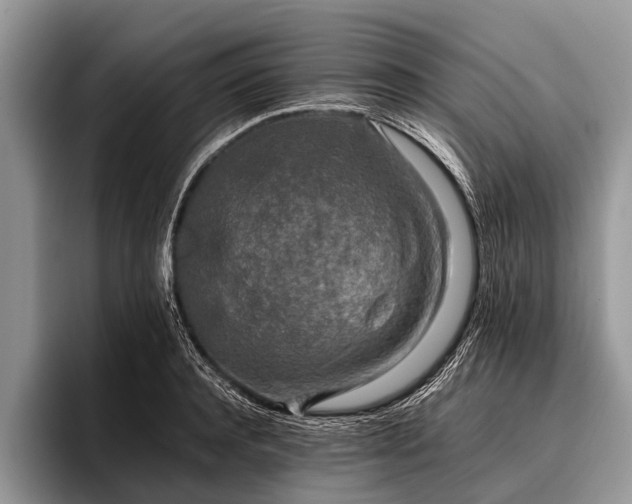 X0000096980944200802081405