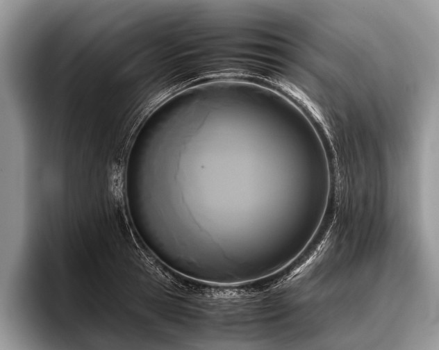 X0000096980945200802081405