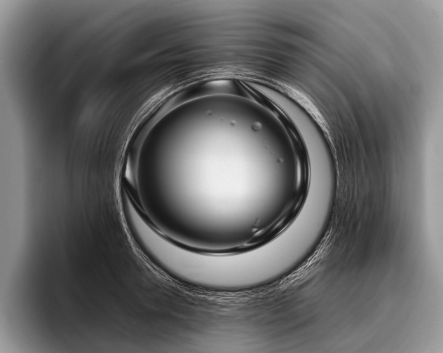 X0000096980946200802081405