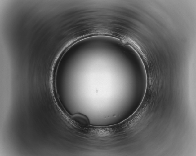 X0000096980947200802081405