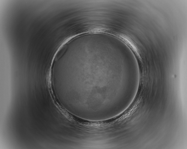 X0000096980948200802081405