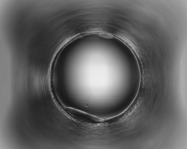 X0000096980949200802081405