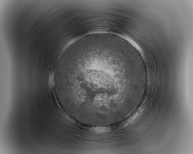 X0000096980953200802081405