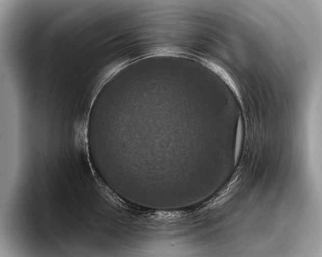 X0000096980954200802081405