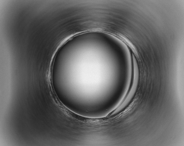 X0000096980956200802081405