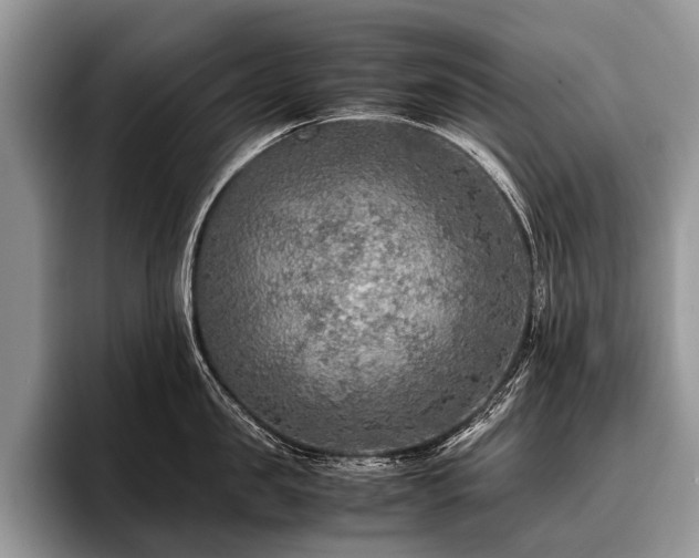 X0000096980957200802081405