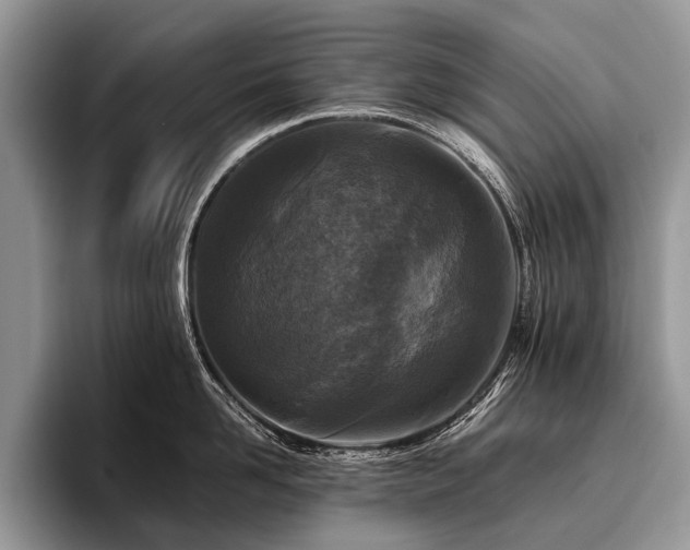 X0000096980958200802081405