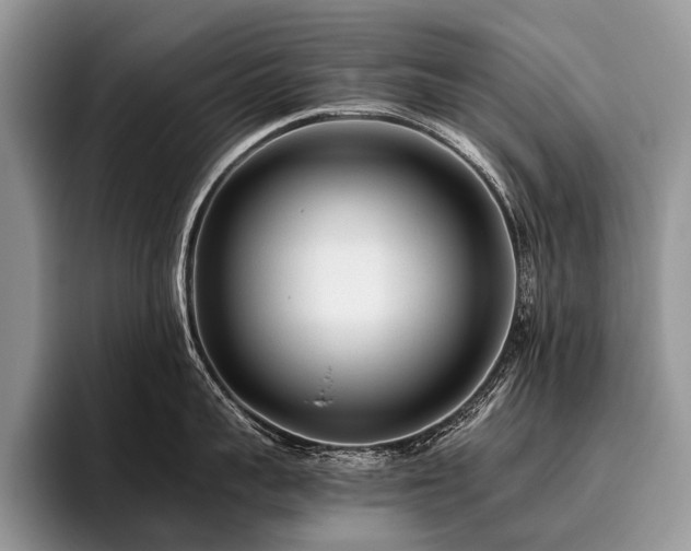 X0000096980959200802081405