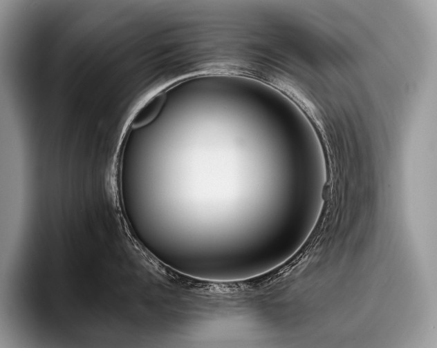 X0000096980960200802081405