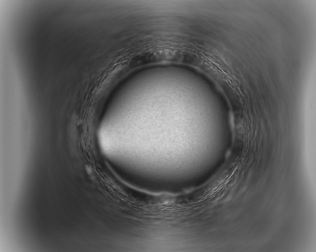 X0000096980961200802081404