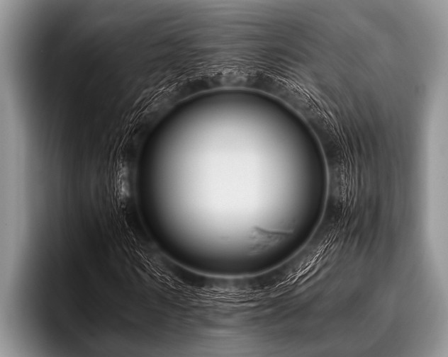 X0000096980962200802081404