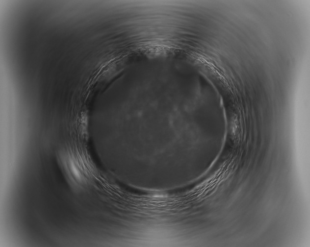 X0000096980964200802081404