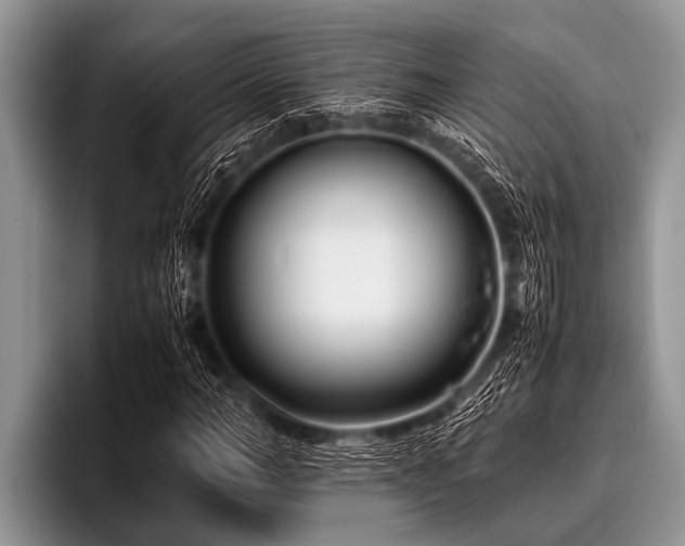 X0000096980966200802081404