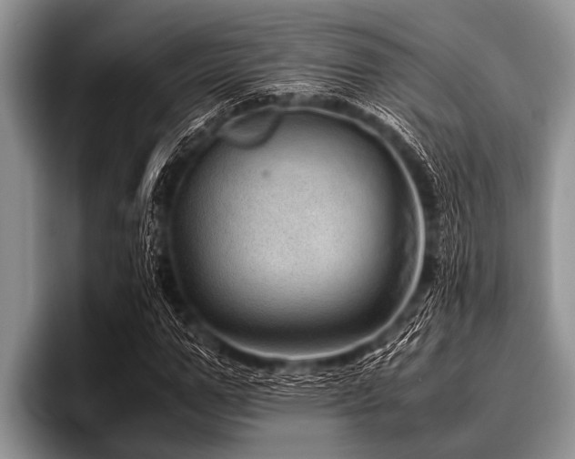 X0000096980967200802081404